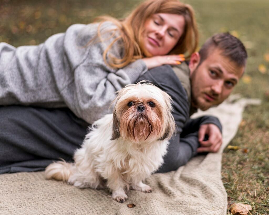 Alimentación Ideal para Shih Tzu Cachorro: Marcas Recomendadas, Cantidades y Consejos Clave