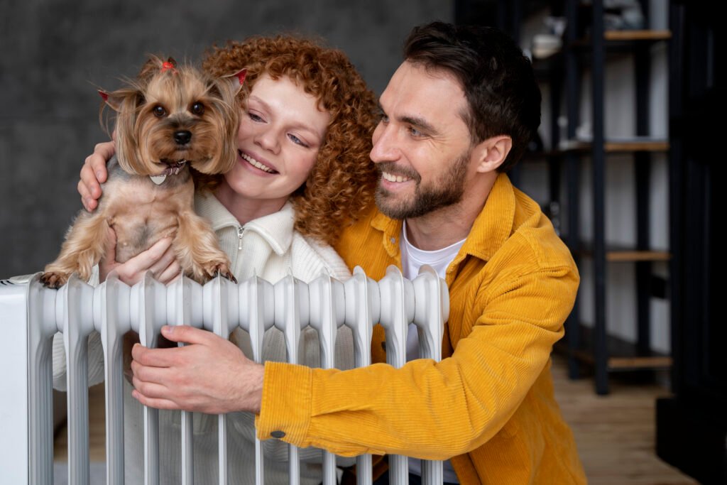 Cómo Cuidar a un Shih Tzu Cachorro: Guía Completa para Nuevos Dueños