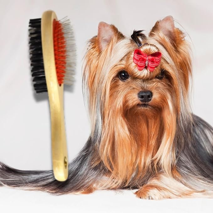 nova escoova para shih tzu